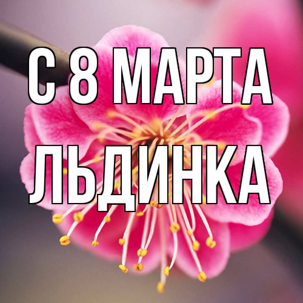 Открытка на каждый день с именем, льдинка C 8 МАРТА цветы Прикольная открытка с пожеланием онлайн скачать бесплатно 