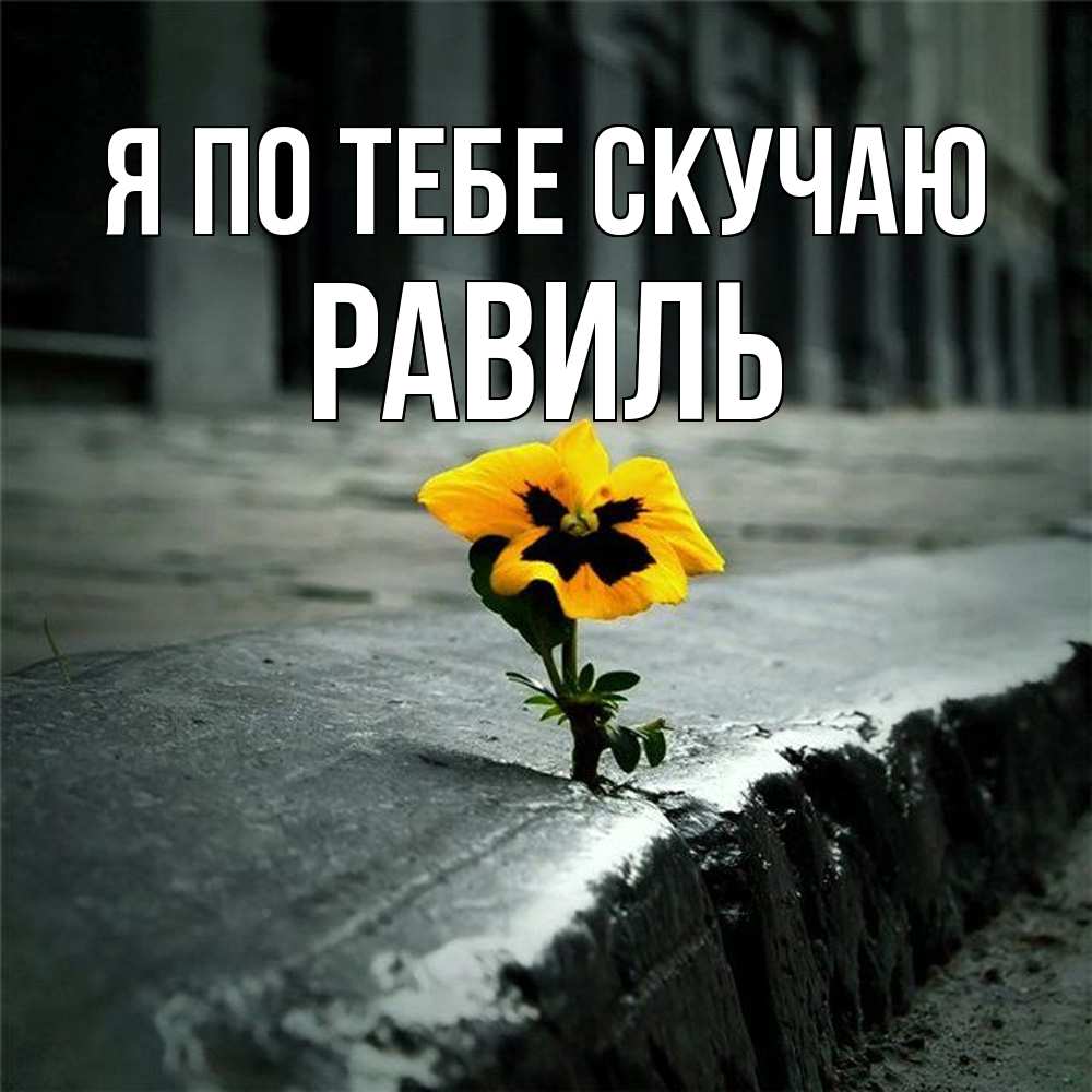 Открытка на каждый день с именем, Равиль Я по тебе скучаю надеюсь будет лучше Прикольная открытка с пожеланием онлайн скачать бесплатно 