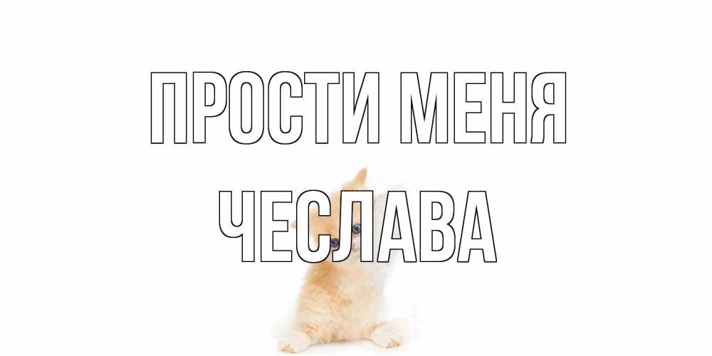 Открытка на каждый день с именем, Чеслава Прости меня кот Прикольная открытка с пожеланием онлайн скачать бесплатно 
