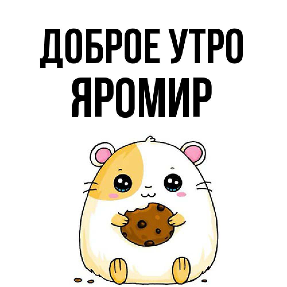 Открытка на каждый день с именем, Яромир Доброе утро есть печеньку. Утречко Прикольная открытка с пожеланием онлайн скачать бесплатно 