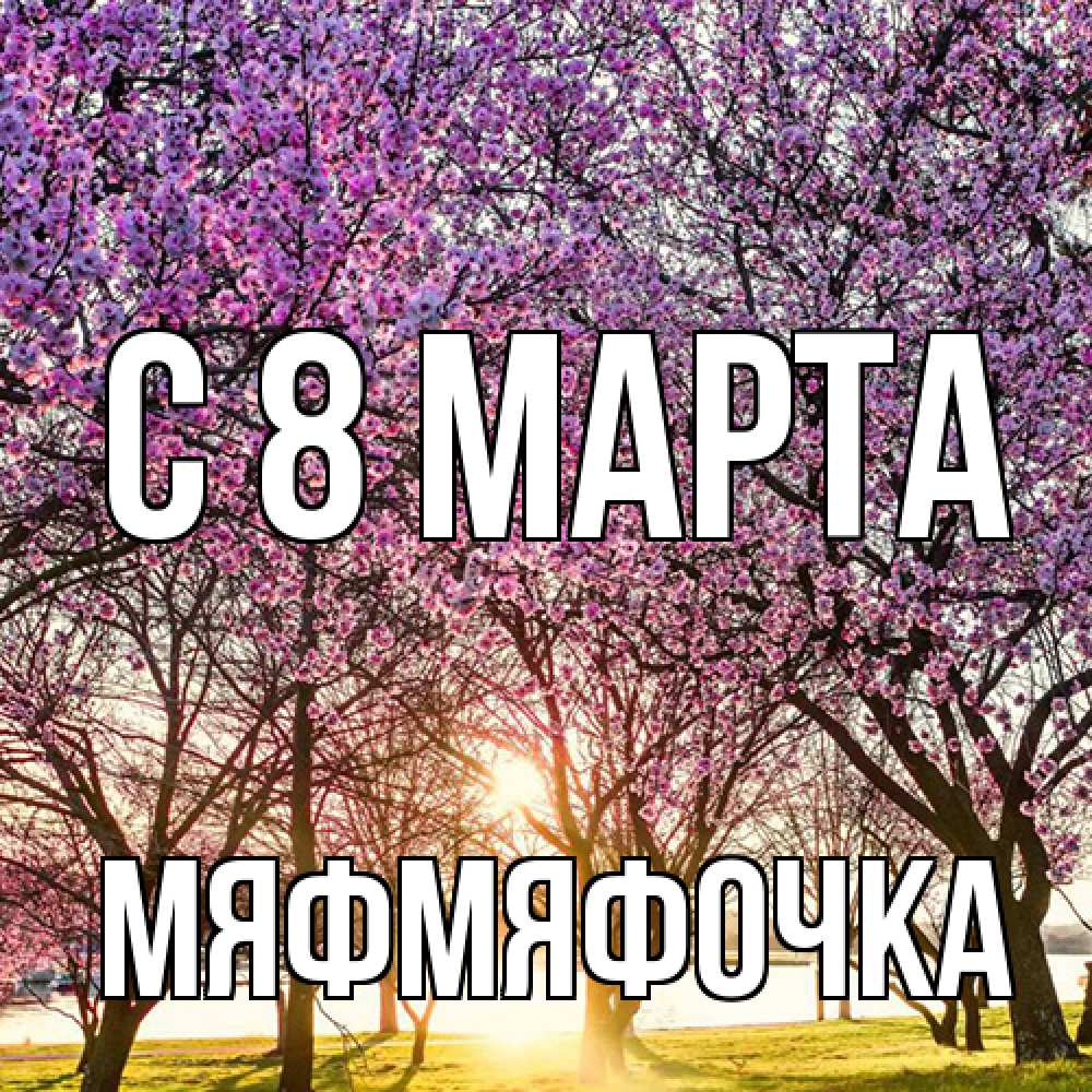 Открытка на каждый день с именем, мяфмяфочка C 8 МАРТА международный женский день Прикольная открытка с пожеланием онлайн скачать бесплатно 