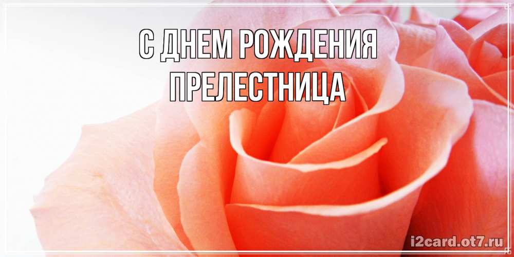 Открытка на каждый день с именем, пpелестница С днем рождения розы для поздравления с днем рождения Прикольная открытка с пожеланием онлайн скачать бесплатно 