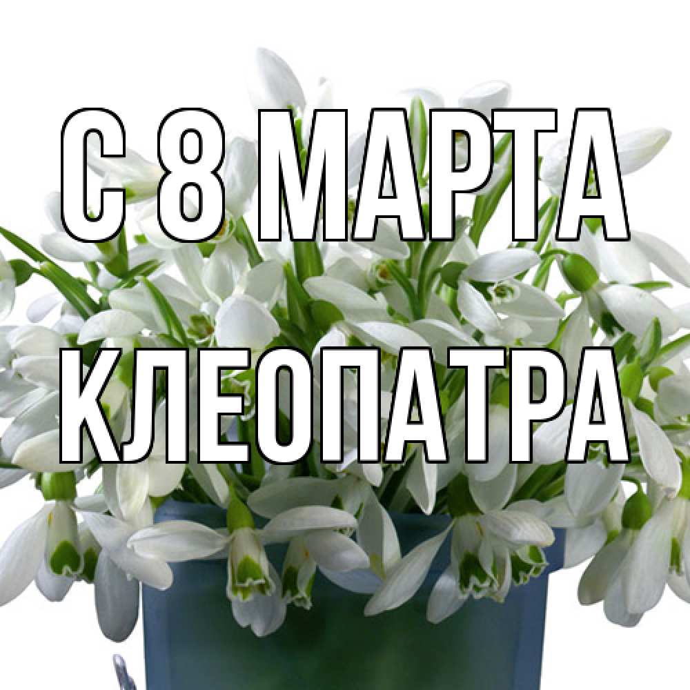 Открытка на каждый день с именем, Клеопатра C 8 МАРТА цветы к международному женскому дню Прикольная открытка с пожеланием онлайн скачать бесплатно 