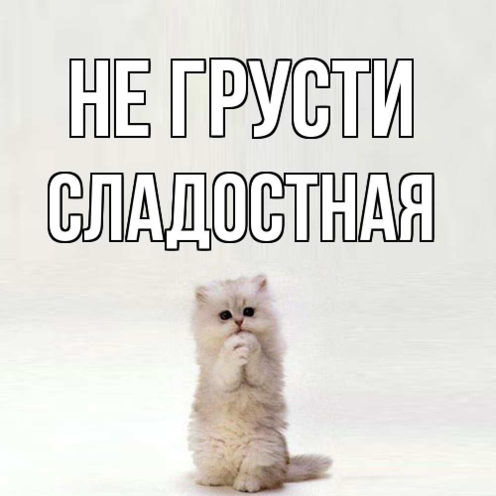 Открытка на каждый день с именем, Сладостная Не грусти грустный кот Прикольная открытка с пожеланием онлайн скачать бесплатно 