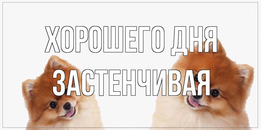 Открытка на каждый день с именем, Застенчивая Хорошего дня собачки желают прекрасного дня Прикольная открытка с пожеланием онлайн скачать бесплатно 