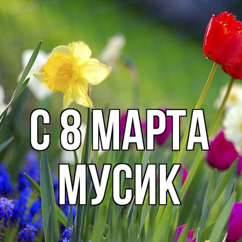 Картинка C 8 МАРТА, мусик
