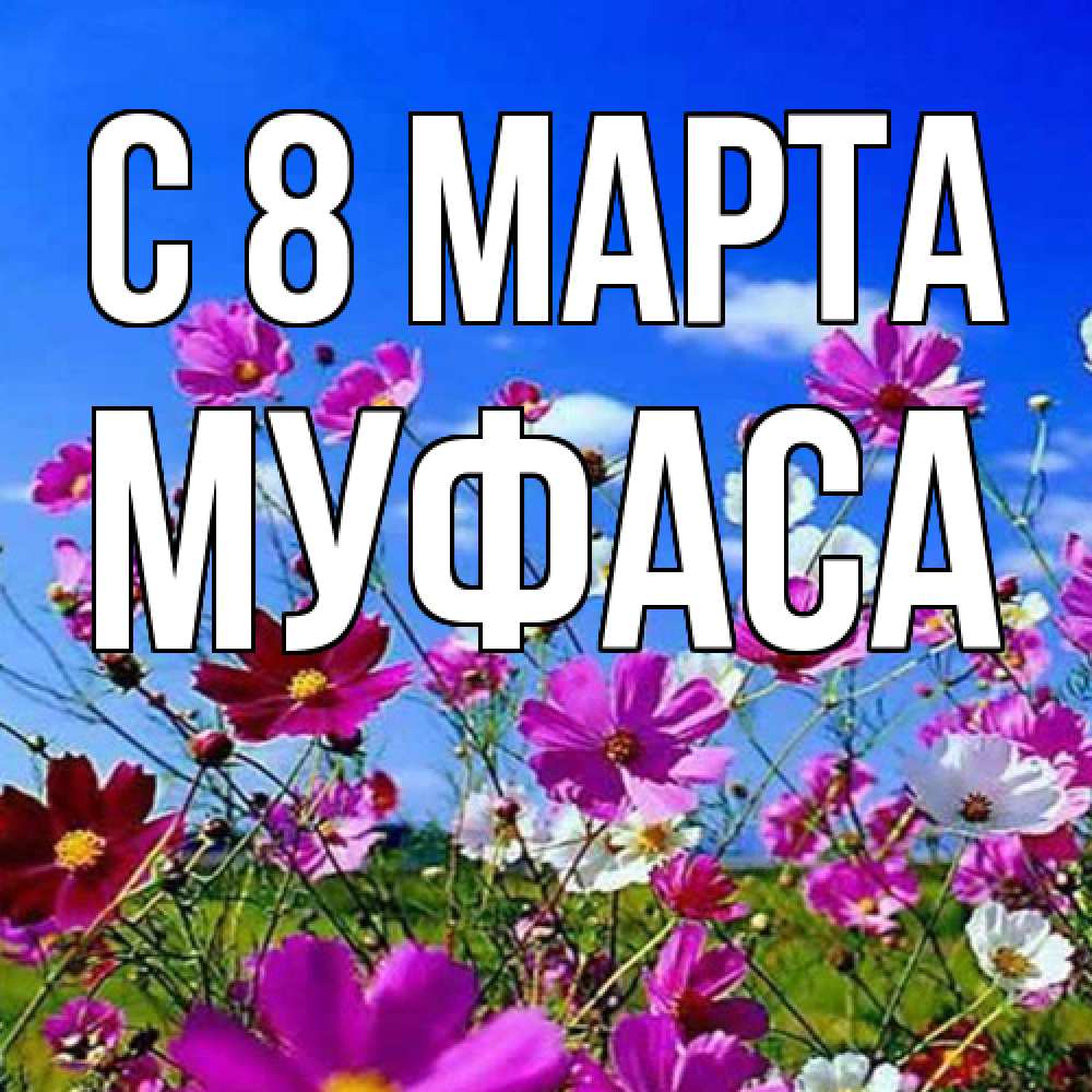 Открытка на каждый день с именем, Муфаса C 8 МАРТА цветы Прикольная открытка с пожеланием онлайн скачать бесплатно 