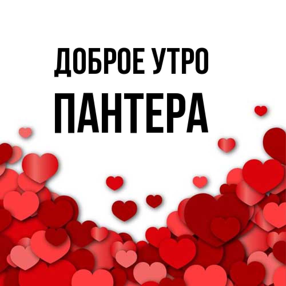 Открытка на каждый день с именем, Пантера Доброе утро хорошего настроения Прикольная открытка с пожеланием онлайн скачать бесплатно 