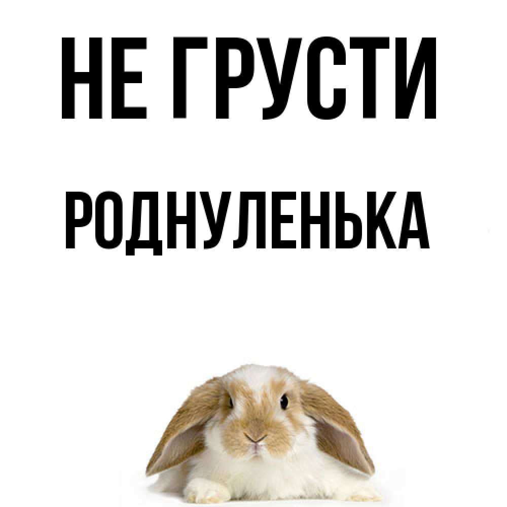 Открытка на каждый день с именем, Роднуленька Не грусти коричнево белый заяц с большими ушками Прикольная открытка с пожеланием онлайн скачать бесплатно 