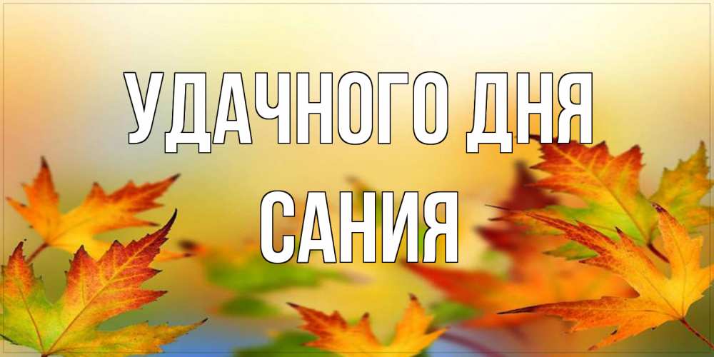 Открытка на каждый день с именем, Сания Удачного дня открытка с пожеланием хорошего осеннего дня Прикольная открытка с пожеланием онлайн скачать бесплатно 