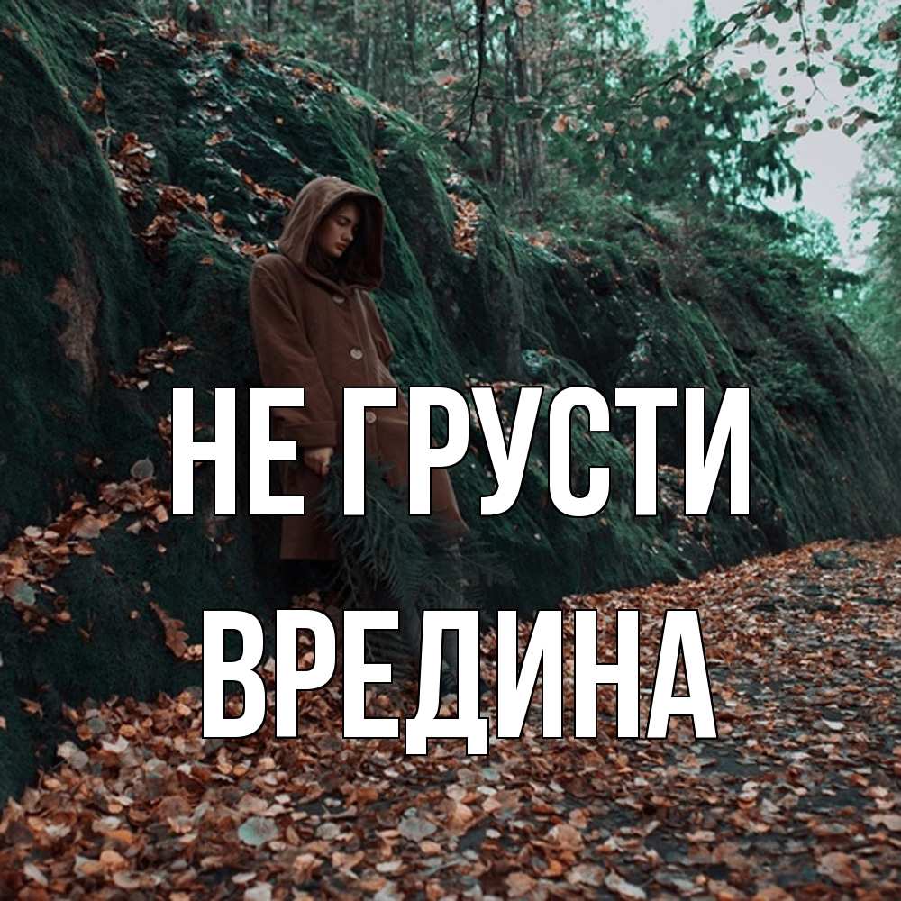 Открытка на каждый день с именем, вредина Не грусти осенний лес Прикольная открытка с пожеланием онлайн скачать бесплатно 