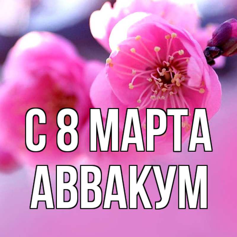 Картинка C 8 МАРТА, Аввакум