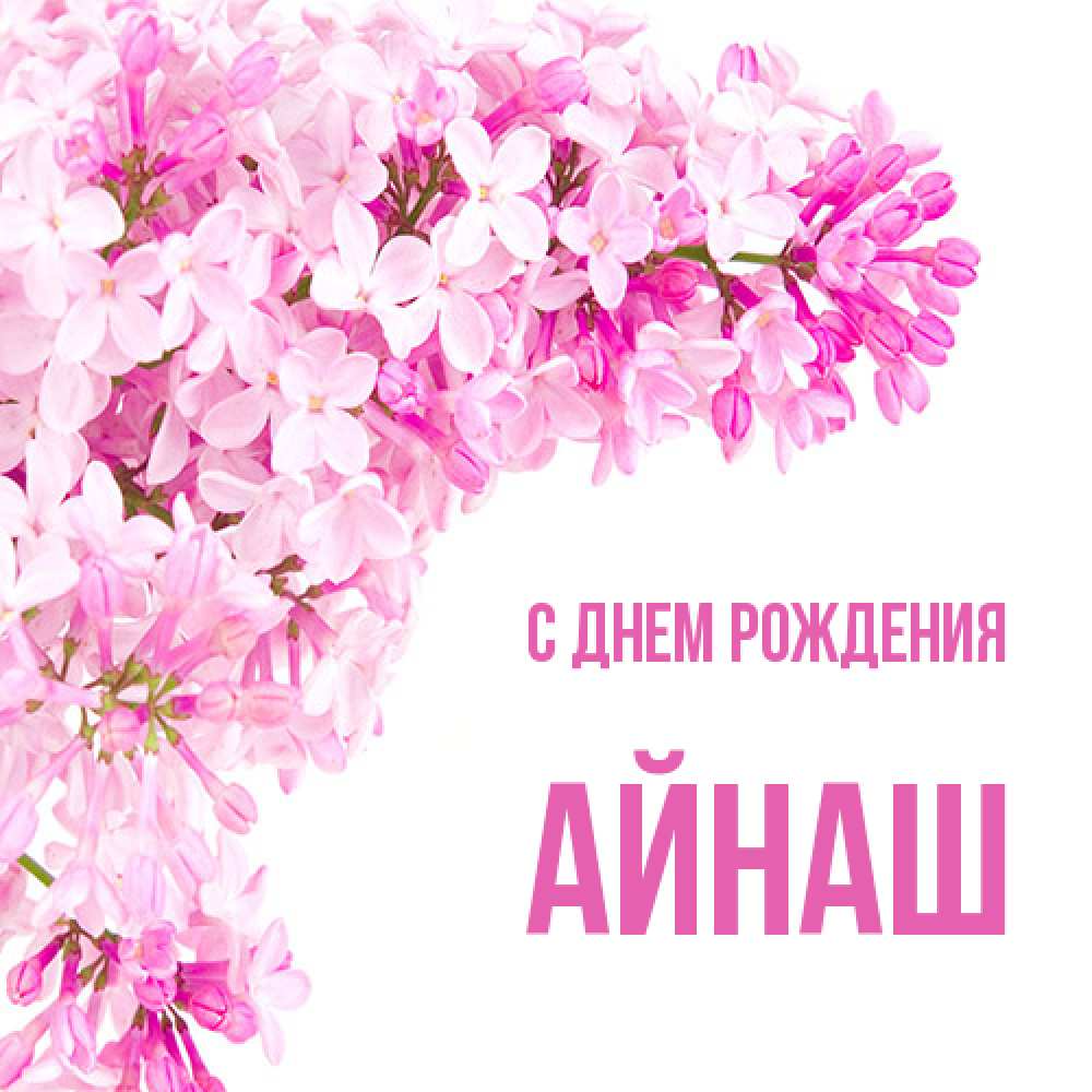 Открытка на каждый день с именем, Айнаш С днем рождения Сирень на белом фоне Прикольная открытка с пожеланием онлайн скачать бесплатно 
