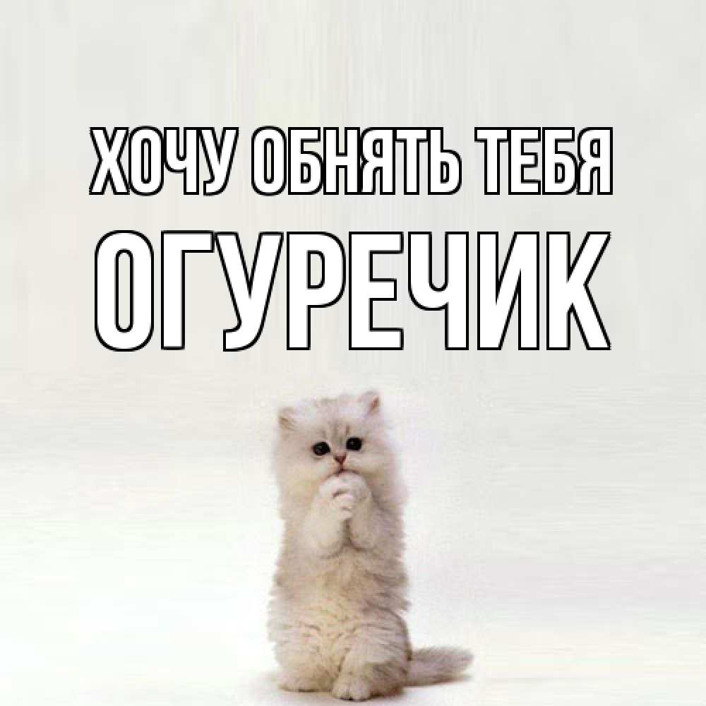 Открытка на каждый день с именем, Огуречик Хочу обнять тебя открытки с креативными подписями Прикольная открытка с пожеланием онлайн скачать бесплатно 