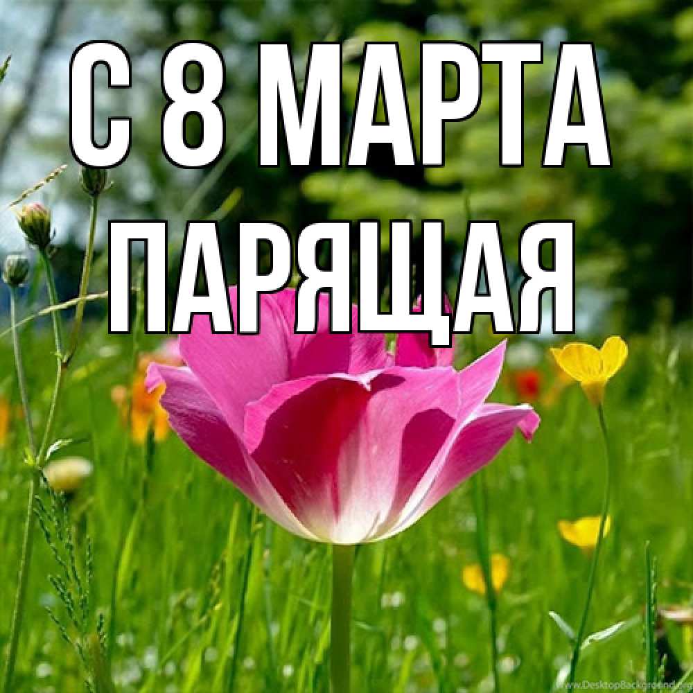 Открытка на каждый день с именем, Парящая C 8 МАРТА полевые цветы Прикольная открытка с пожеланием онлайн скачать бесплатно 