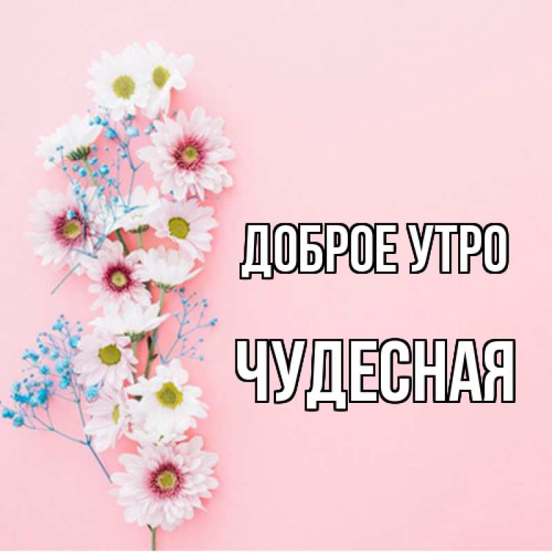 Картинка Доброе утро, Чудесная