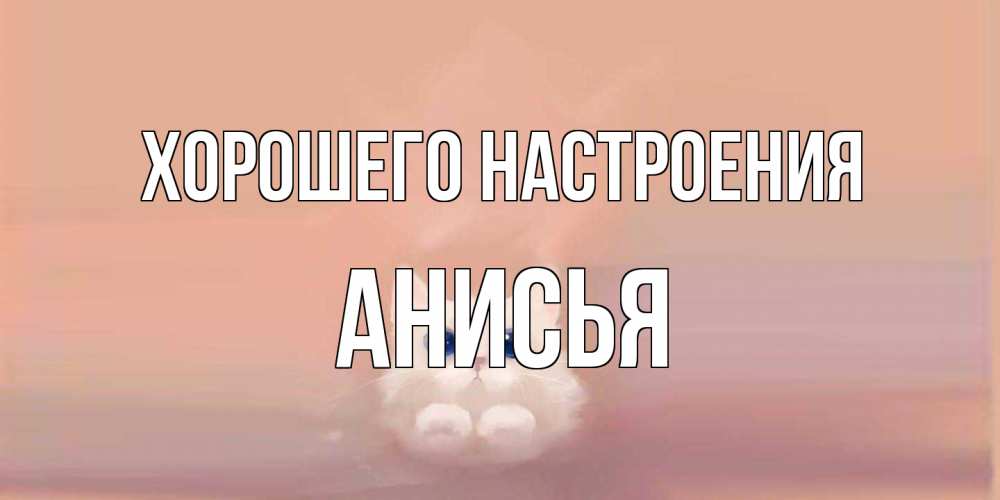 Открытка на каждый день с именем, Анисья Хорошего настроения кошка Прикольная открытка с пожеланием онлайн скачать бесплатно 