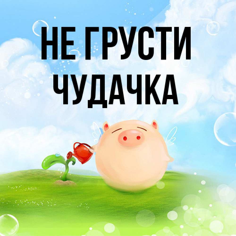 Открытка на каждый день с именем, Чудачка Не грусти поливает цветок порося Прикольная открытка с пожеланием онлайн скачать бесплатно 