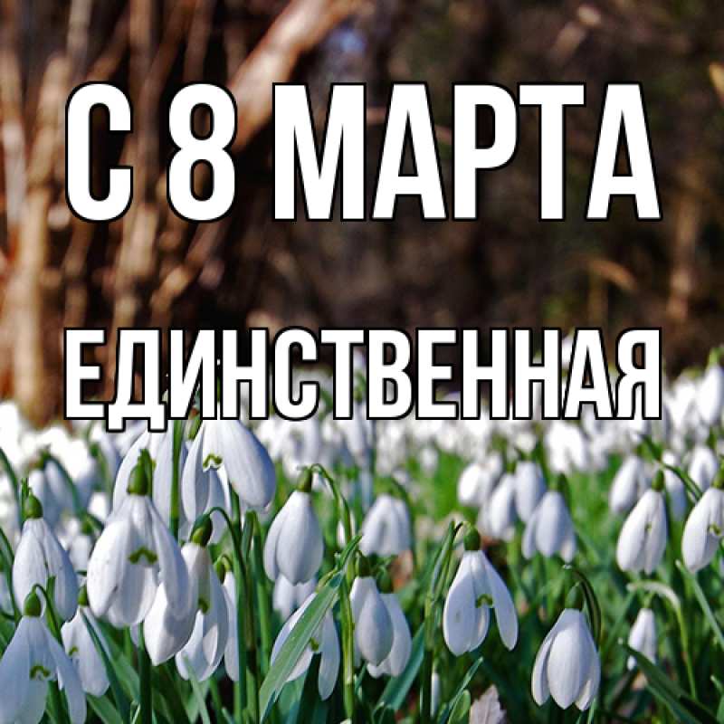 Картинка C 8 МАРТА, Единственная