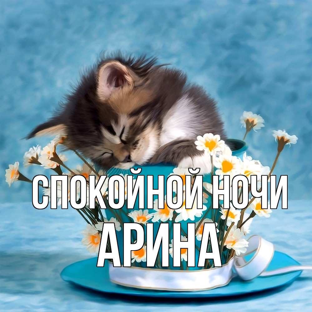 Открытка на каждый день с именем, Арина Спокойной ночи котенок спит в кружке с блюдцем Прикольная открытка с пожеланием онлайн скачать бесплатно 