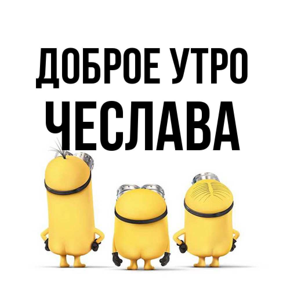 Открытка на каждый день с именем, Чеслава Доброе утро подписать открытку онлайн бесплатно Прикольная открытка с пожеланием онлайн скачать бесплатно 