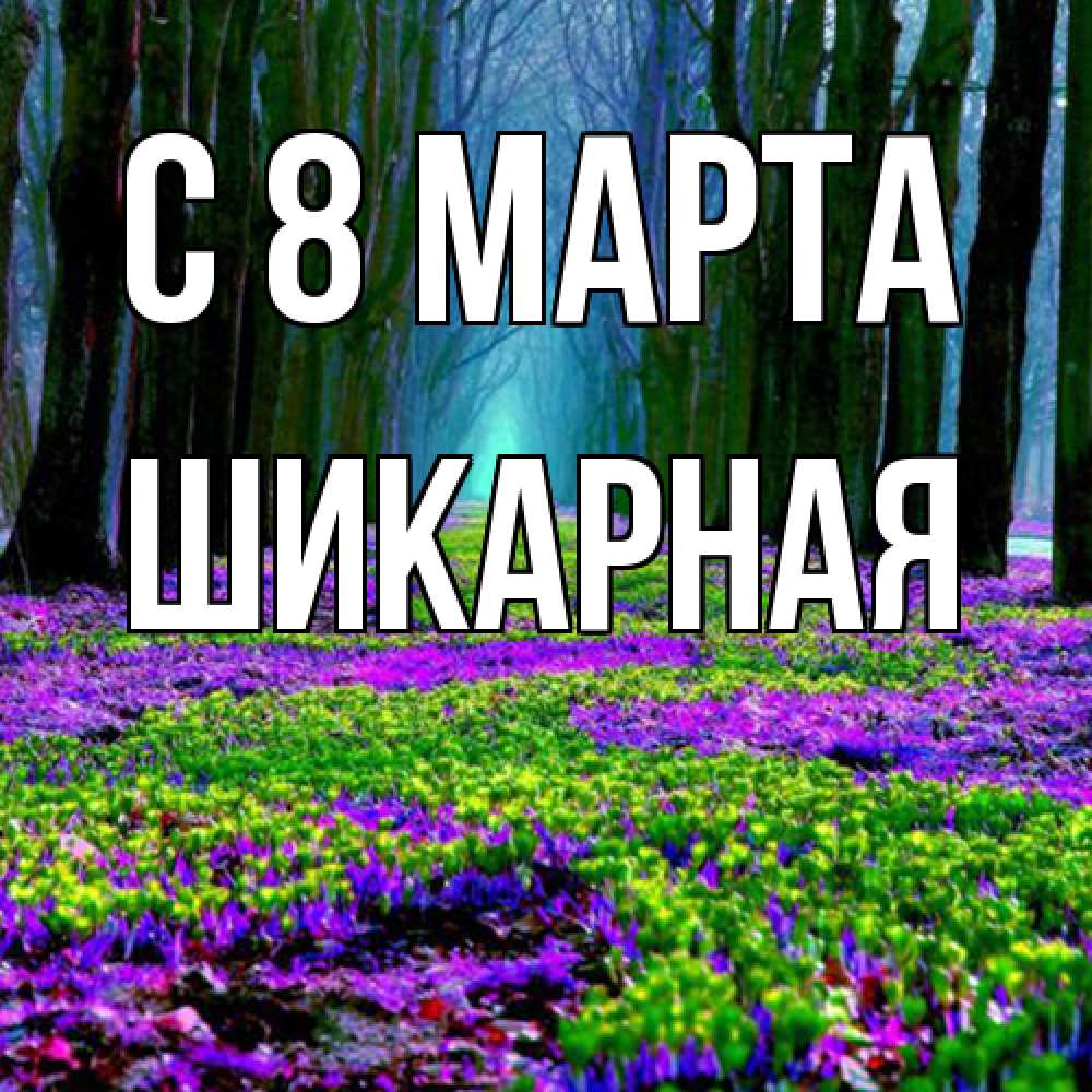 Открытка на каждый день с именем, шикарная C 8 МАРТА фиолетовые цветы в лесу 1 Прикольная открытка с пожеланием онлайн скачать бесплатно 