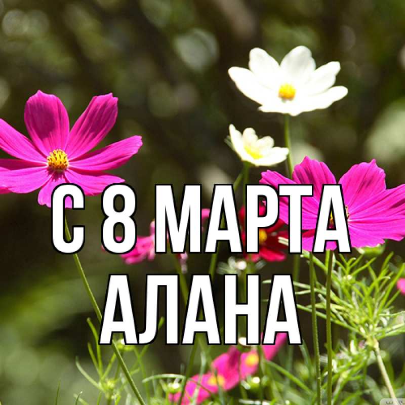 Картинка C 8 МАРТА, Алана