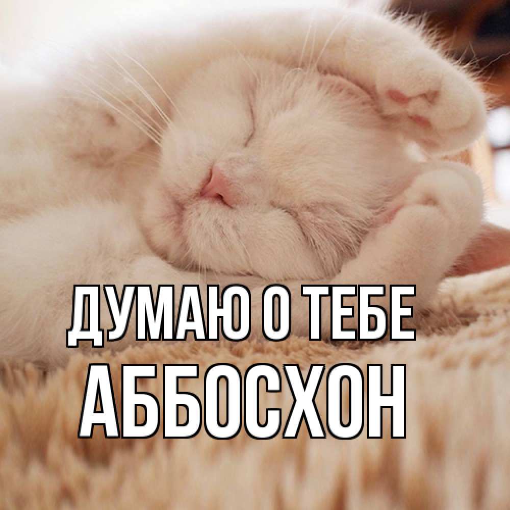 Открытка на каждый день с именем, Аббосхон Думаю о тебе для любимой девушки милота Прикольная открытка с пожеланием онлайн скачать бесплатно 