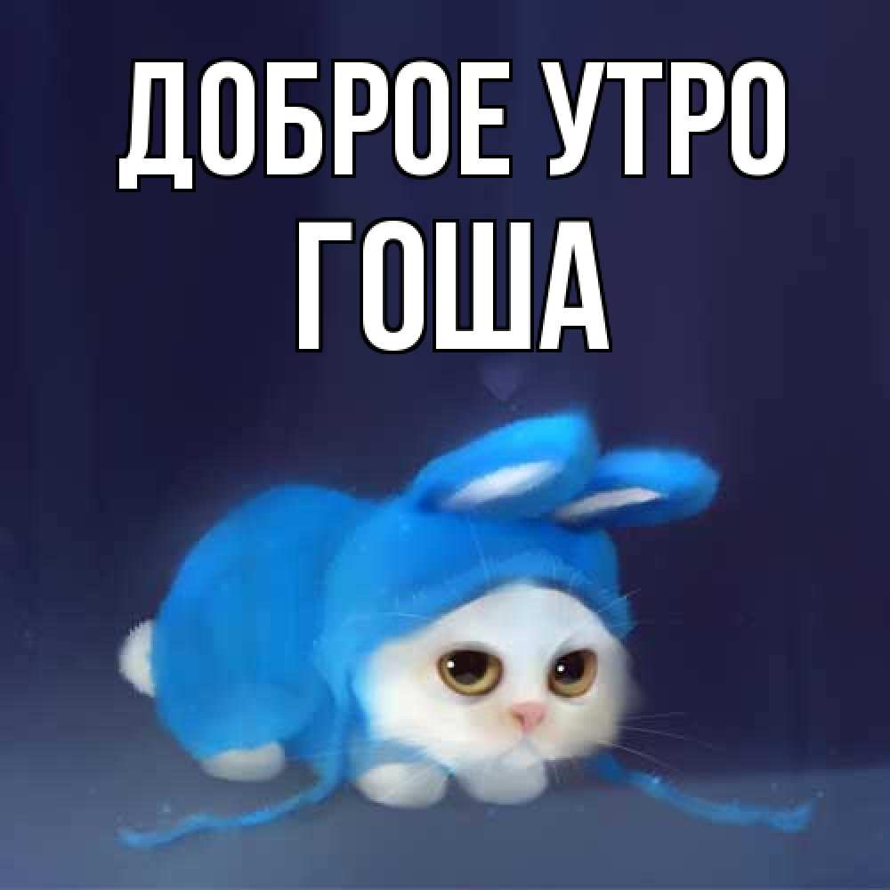 Открытка на каждый день с именем, Гоша Доброе утро открытки красивые скачать бесплатно Прикольная открытка с пожеланием онлайн скачать бесплатно 