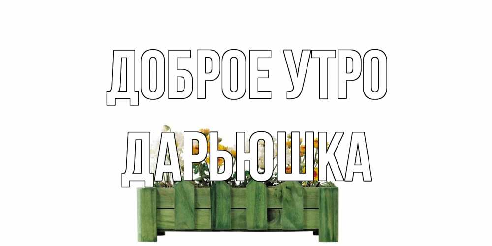 Открытка на каждый день с именем, Дарьюшка Доброе утро цветы Прикольная открытка с пожеланием онлайн скачать бесплатно 