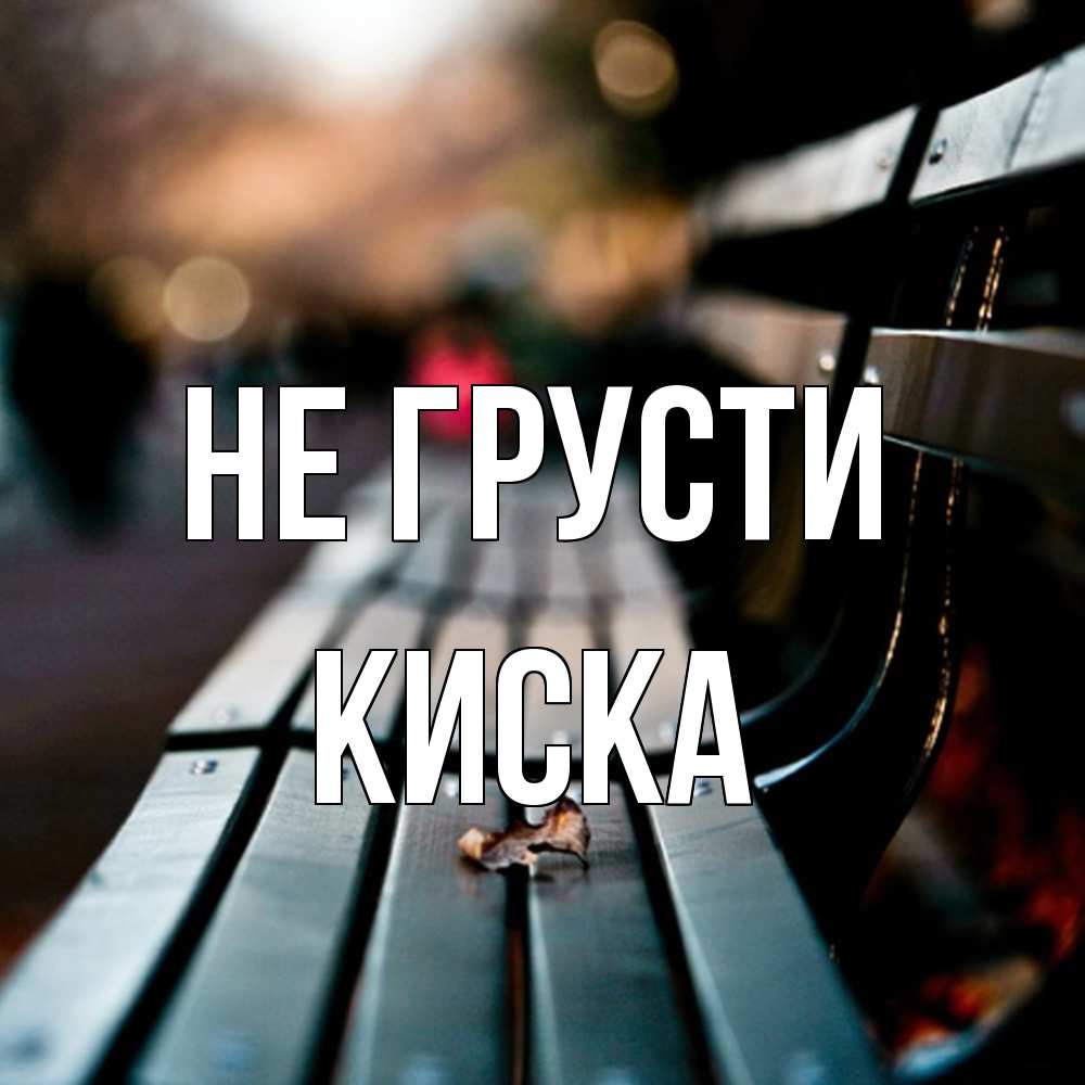 Открытка на каждый день с именем, Киска Не грусти размытый фон Прикольная открытка с пожеланием онлайн скачать бесплатно 