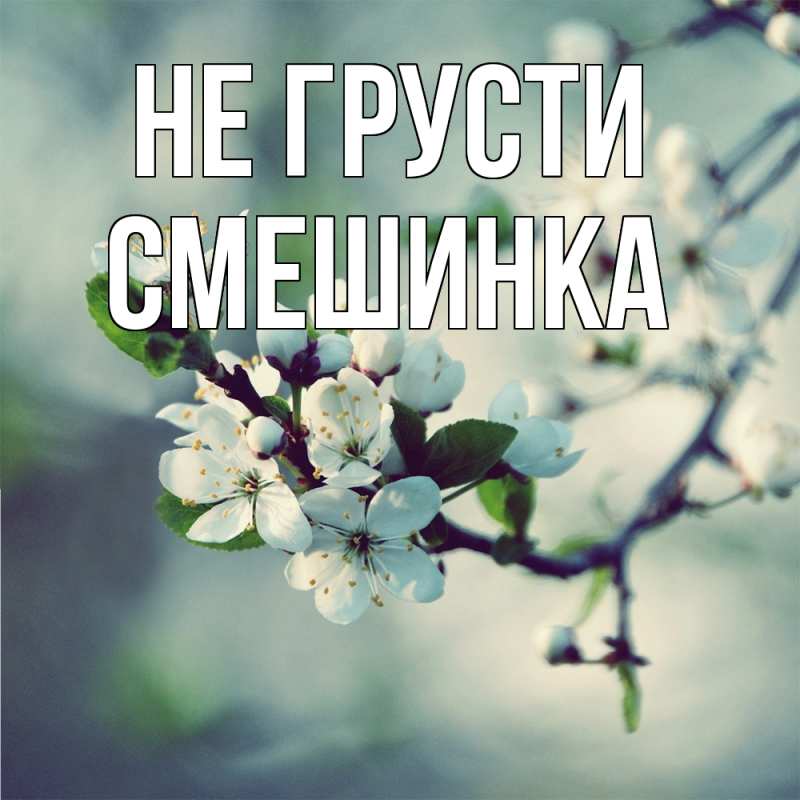 Картинка Не грусти, Смешинка