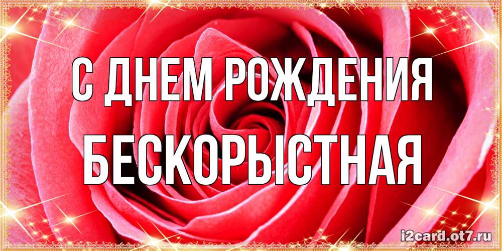 Открытка на каждый день с именем, Бескорыстная С днем рождения розовая роза очень крупный бутон Прикольная открытка с пожеланием онлайн скачать бесплатно 