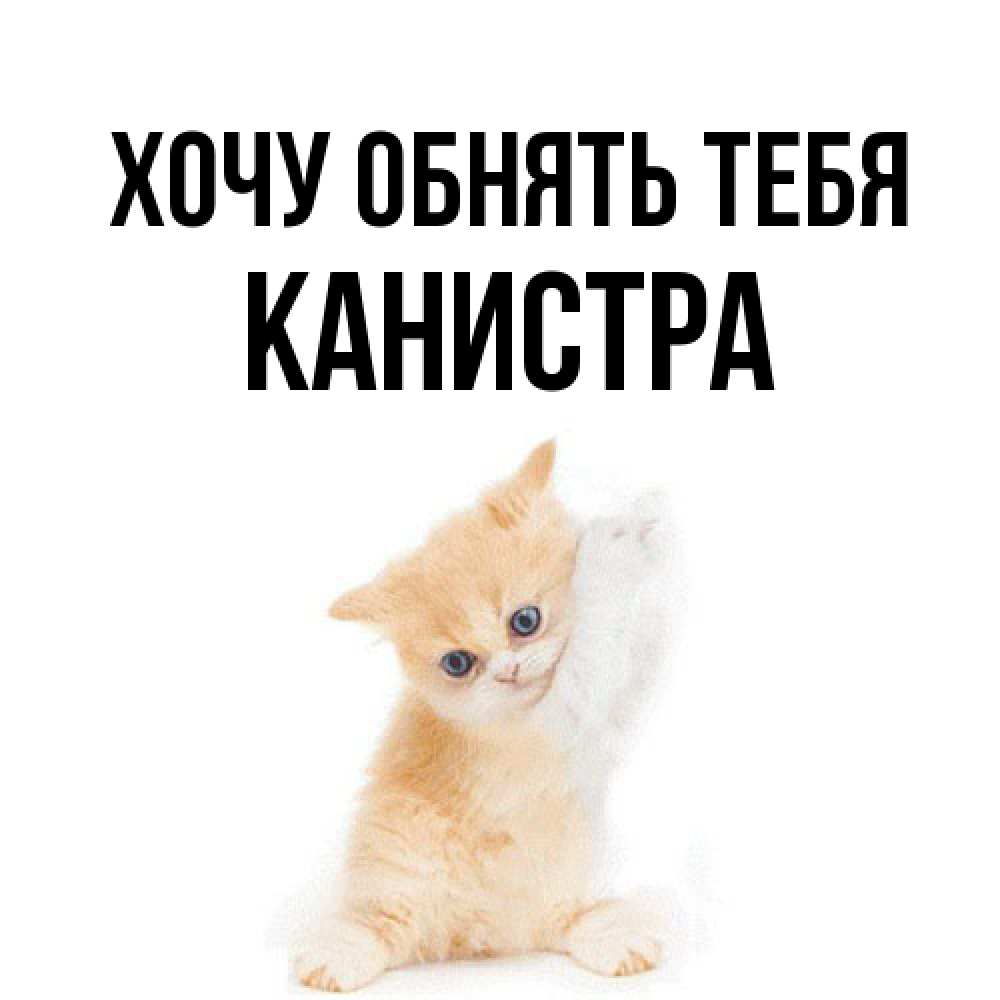 Открытка на каждый день с именем, Канистра Хочу обнять тебя я хочу очень скорее обнимаешек Прикольная открытка с пожеланием онлайн скачать бесплатно 