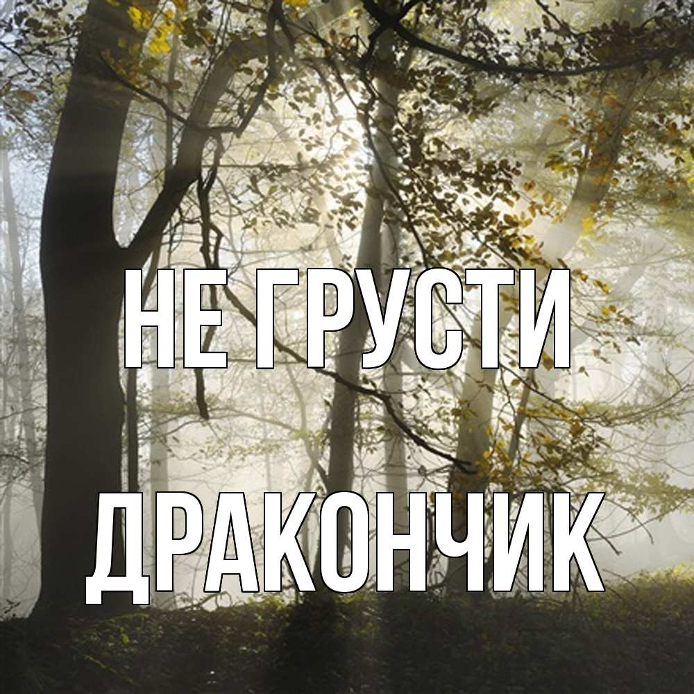 Открытка на каждый день с именем, Дракончик Не грусти лес и свет Прикольная открытка с пожеланием онлайн скачать бесплатно 