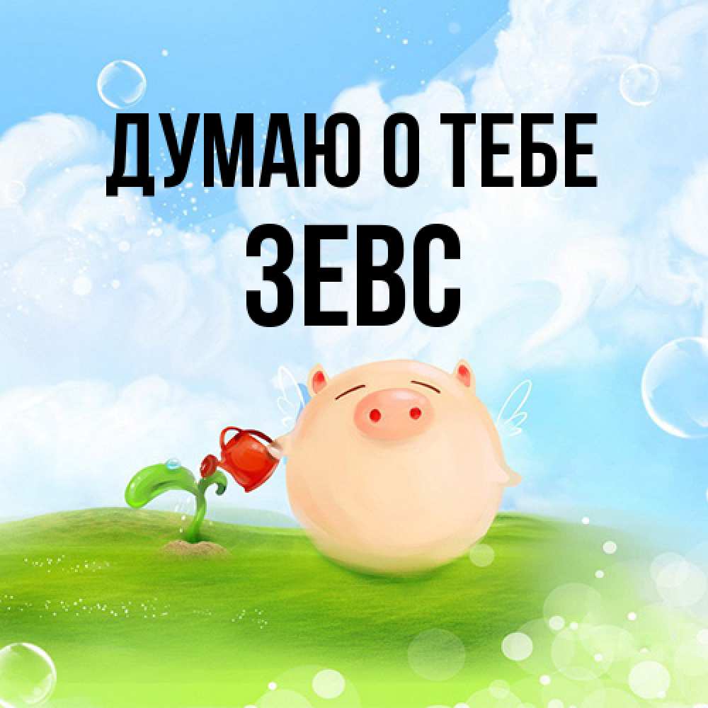 Открытка на каждый день с именем, Зевс Думаю о тебе позитивная свинюшка Прикольная открытка с пожеланием онлайн скачать бесплатно 