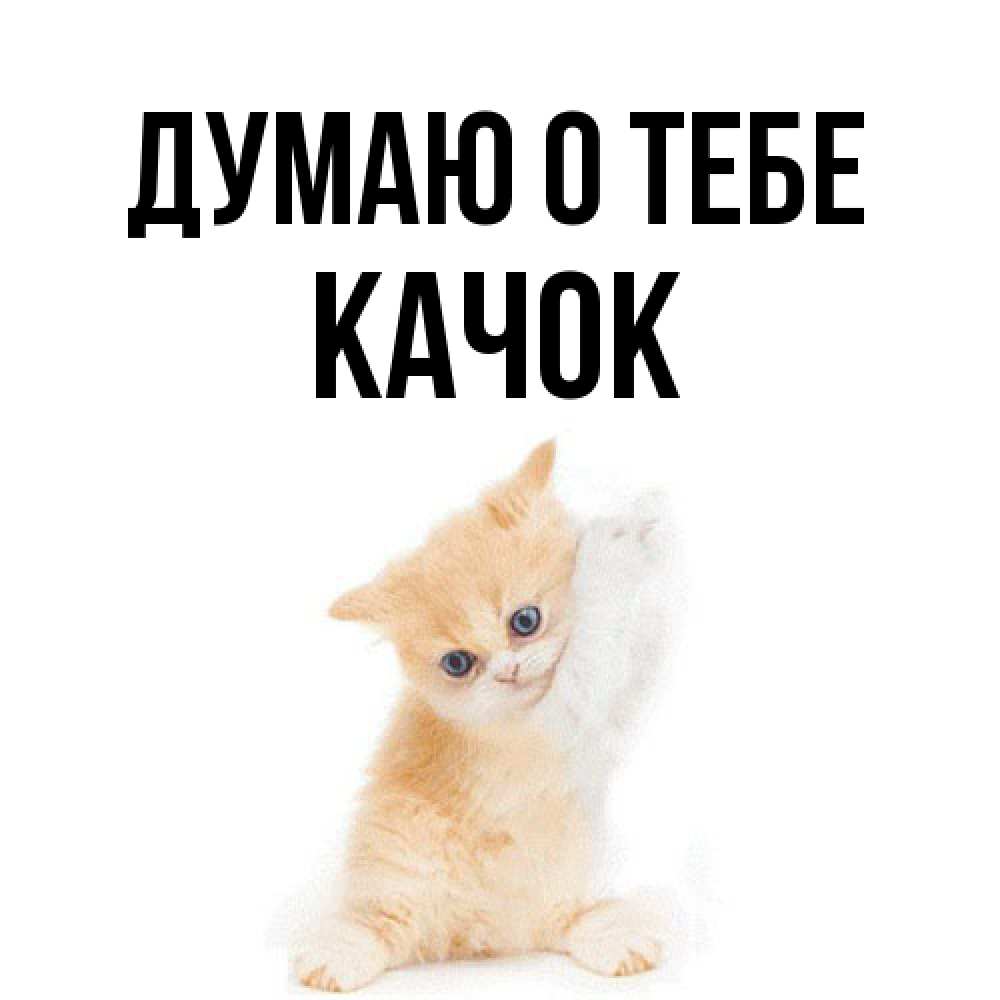 Открытка на каждый день с именем, Качок Думаю о тебе зверушки и милота Прикольная открытка с пожеланием онлайн скачать бесплатно 