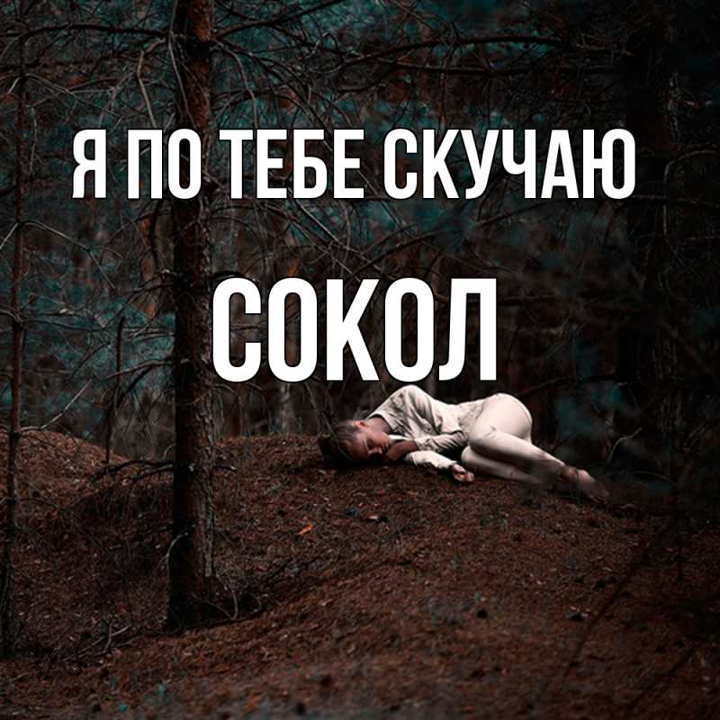 Картинка Я по тебе скучаю, Сокол