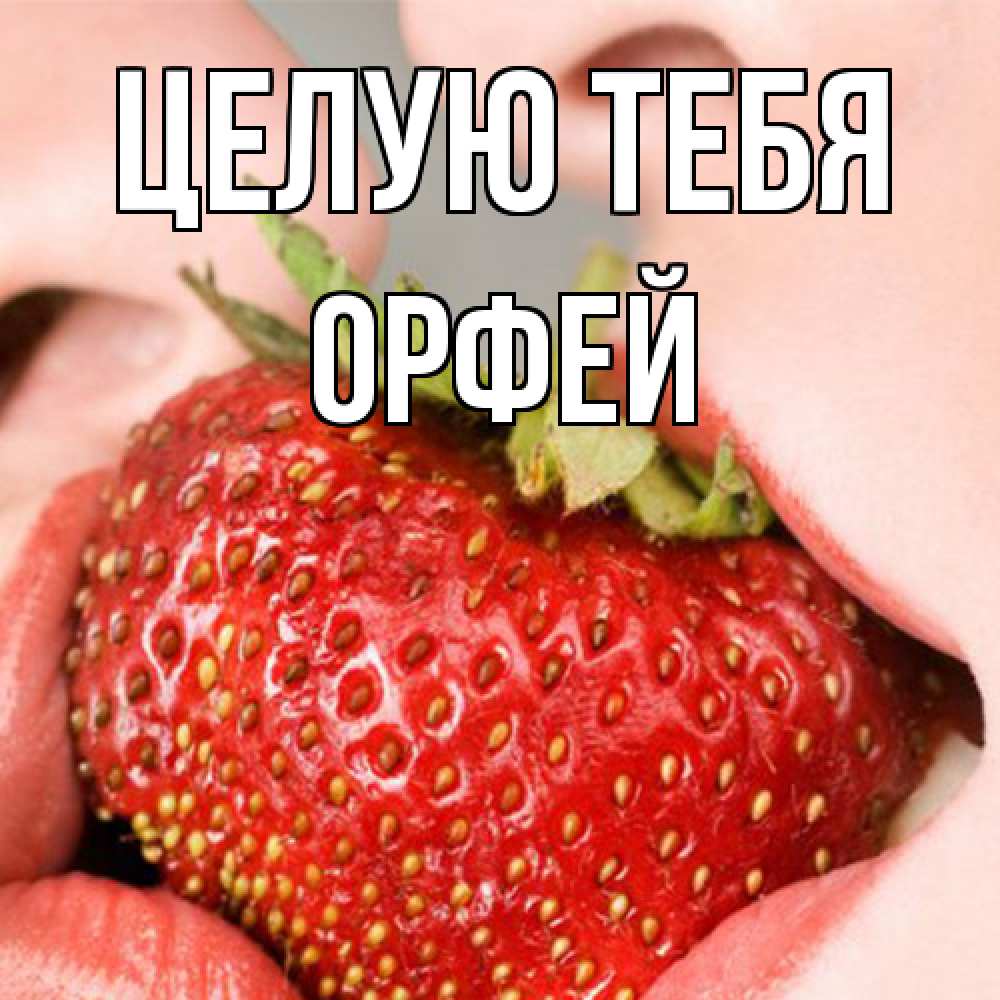 Открытка на каждый день с именем, Орфей Целую тебя поцелуйчик Прикольная открытка с пожеланием онлайн скачать бесплатно 