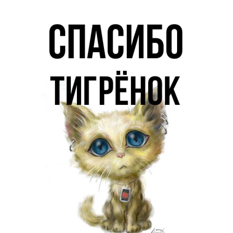 Картинка Спасибо, Тигрёнок