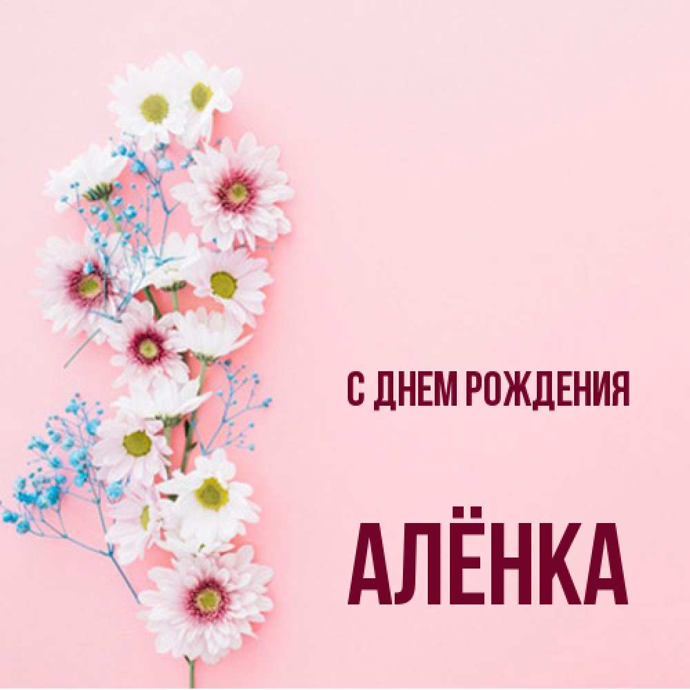 Открытка на каждый день с именем, Алёнка С днем рождения Родная моя с днем рождения тебя картинка с цветами белыми и голубыми Прикольная открытка с пожеланием онлайн скачать бесплатно 