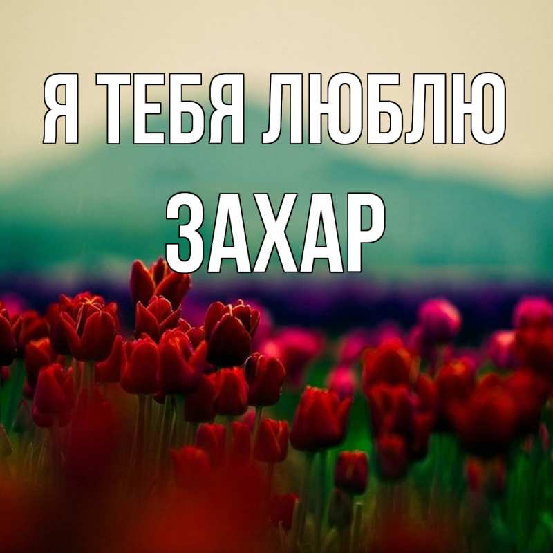 Картинка Я тебя люблю, Захар