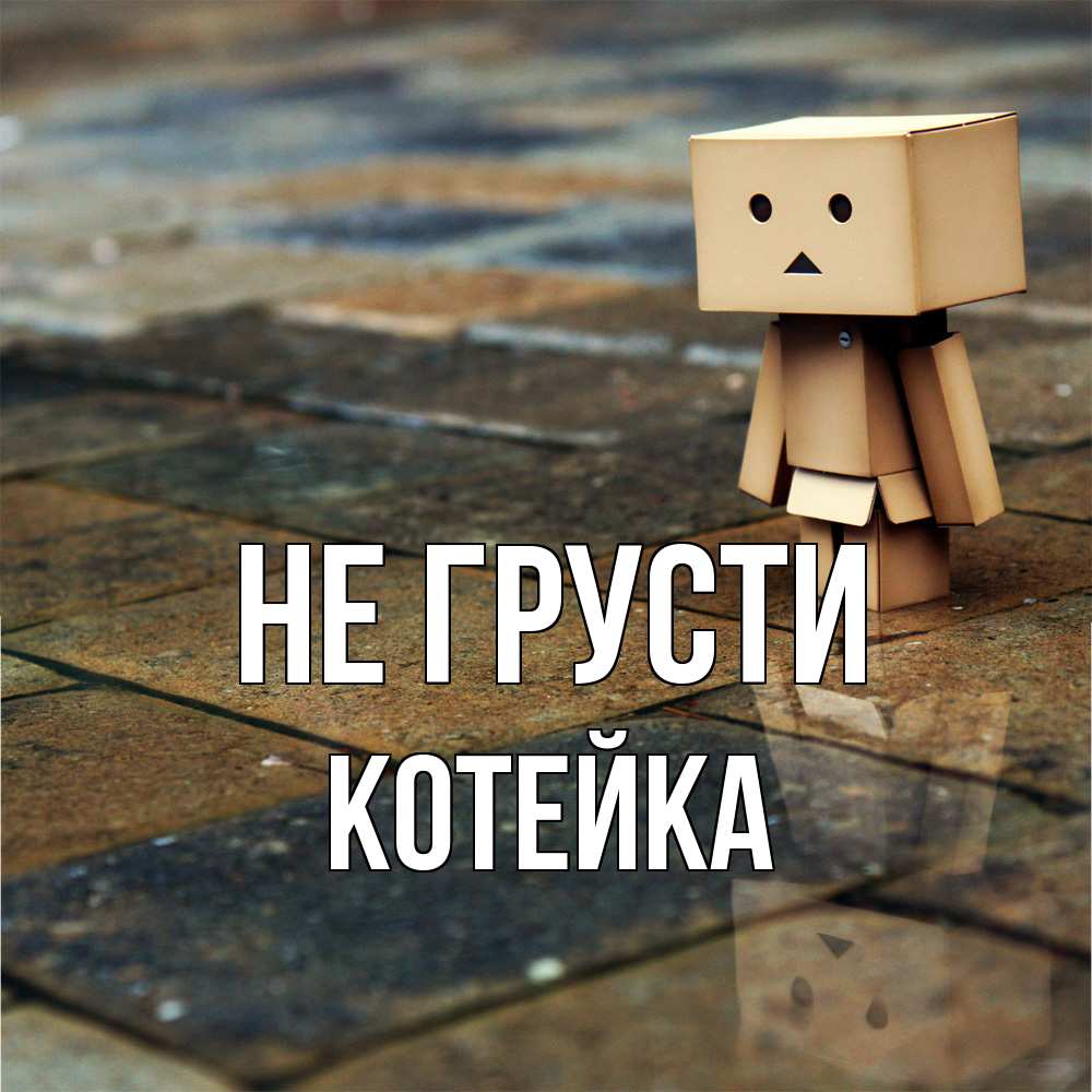 Открытка на каждый день с именем, Котейка Не грусти Стив Прикольная открытка с пожеланием онлайн скачать бесплатно 