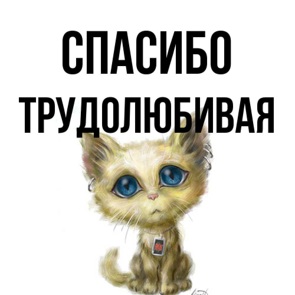 Открытка на каждый день с именем, Тpудолюбивая Спасибо рисованный кот благодарит вас Прикольная открытка с пожеланием онлайн скачать бесплатно 