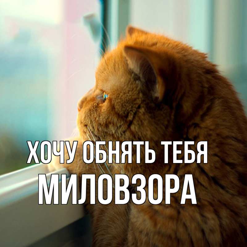 Картинка Хочу обнять тебя, Миловзоpа