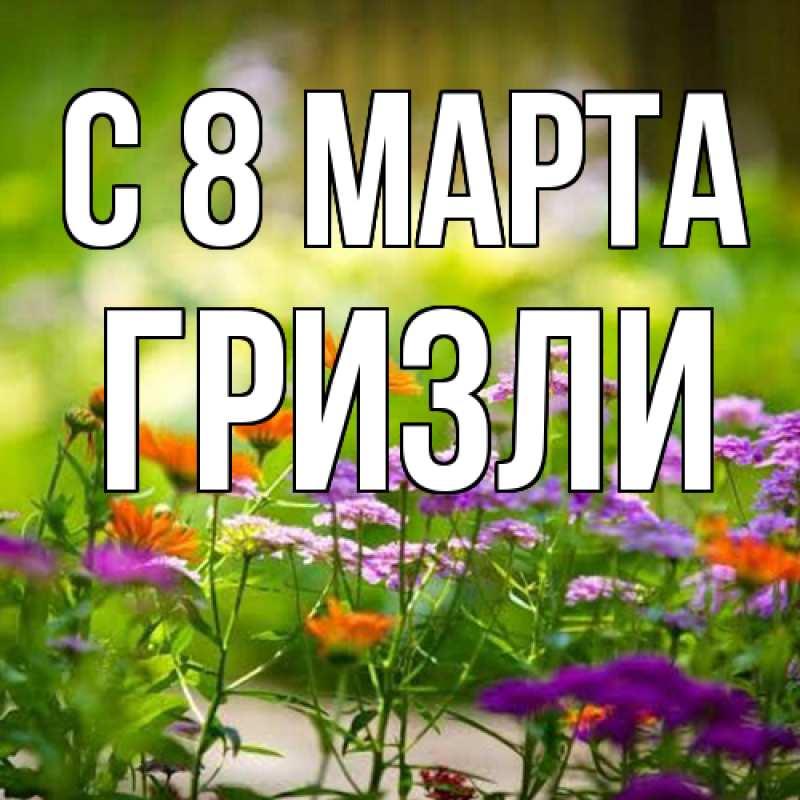 Картинка C 8 МАРТА, Гризли