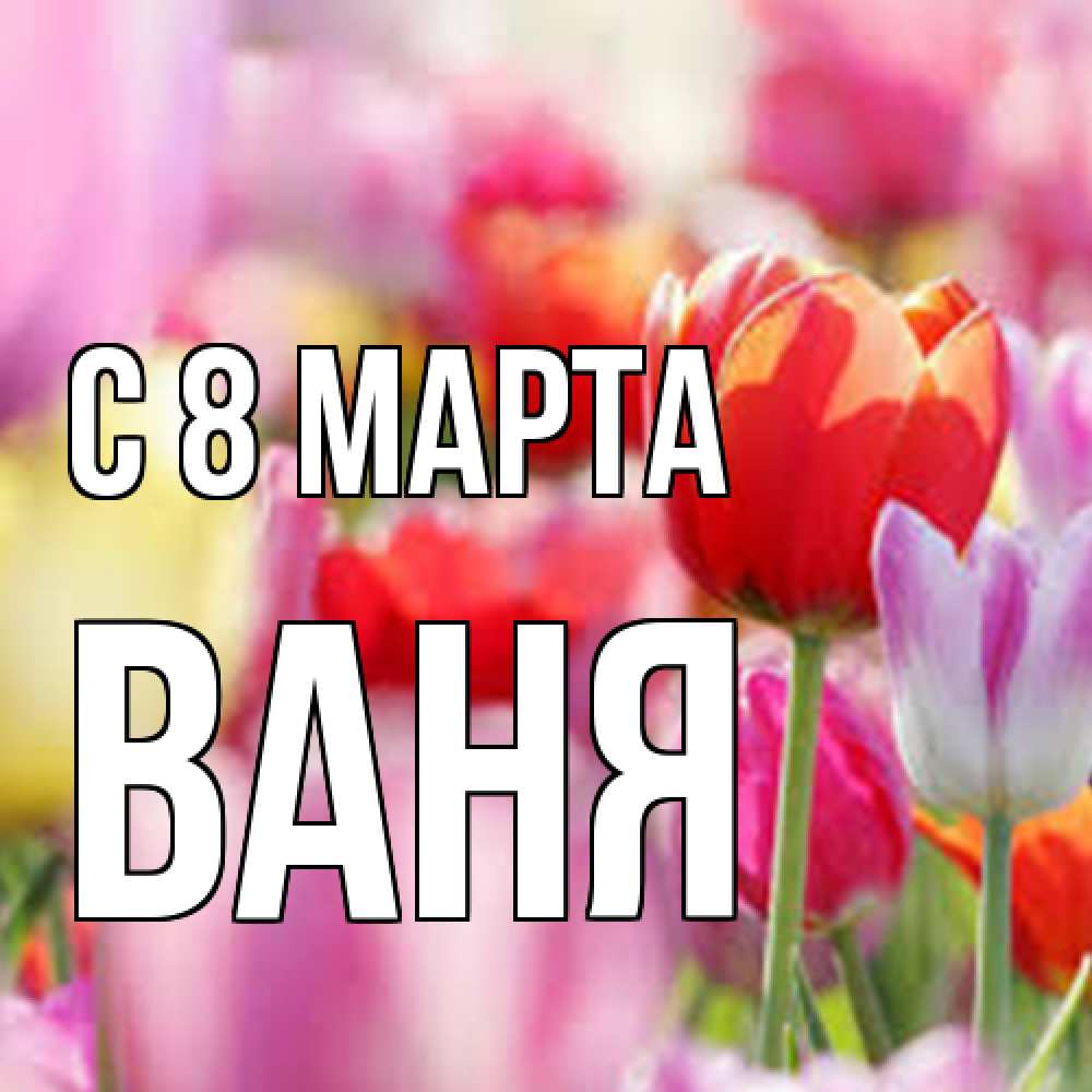 Открытка на каждый день с именем, Ваня C 8 МАРТА на международный женский день 2 Прикольная открытка с пожеланием онлайн скачать бесплатно 