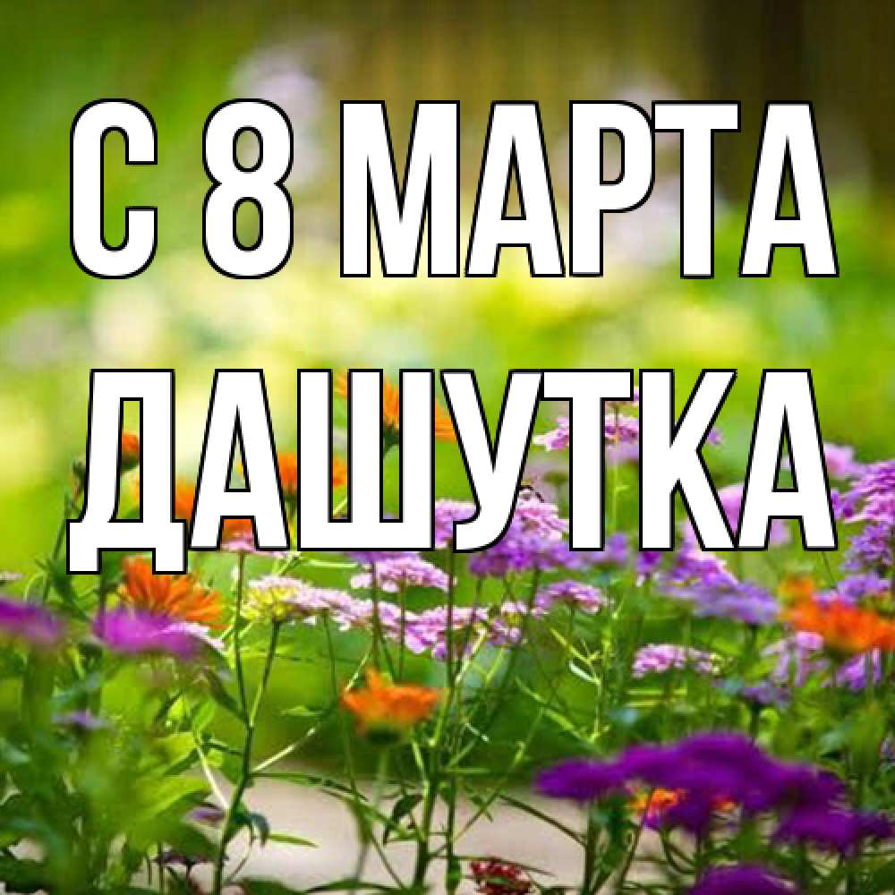 Открытка на каждый день с именем, Дашутка C 8 МАРТА цветы Прикольная открытка с пожеланием онлайн скачать бесплатно 