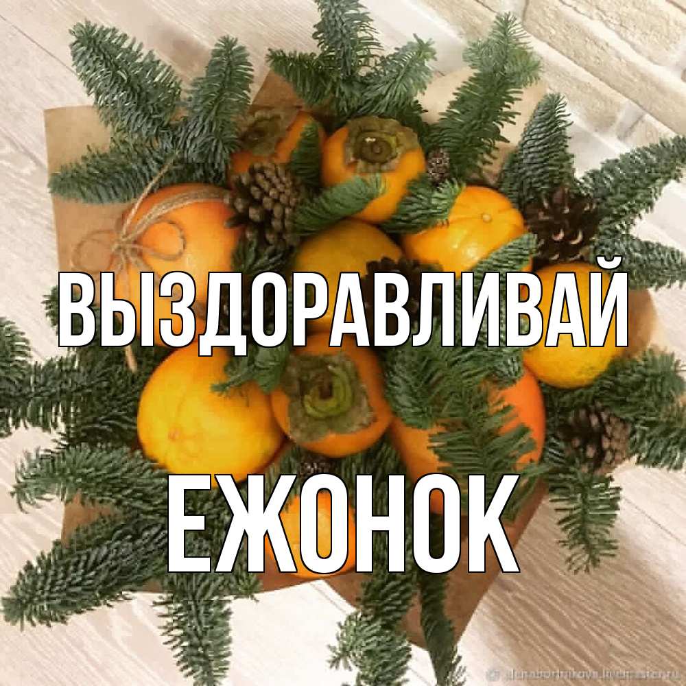 Открытка на каждый день с именем, Ежонок Выздоравливай апельсины и хурьма Прикольная открытка с пожеланием онлайн скачать бесплатно 