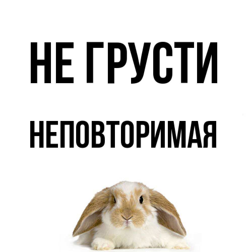 Открытка на каждый день с именем, Неповторимая Не грусти коричнево белый заяц с большими ушками Прикольная открытка с пожеланием онлайн скачать бесплатно 